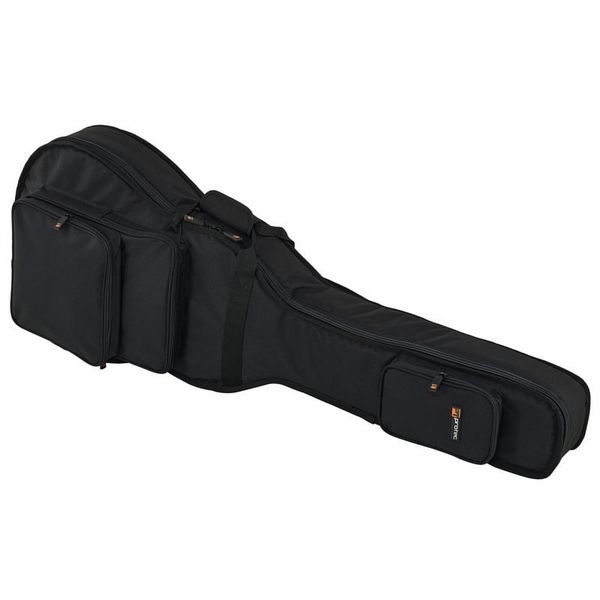 Protec Hollow Body E-Guitar CF229