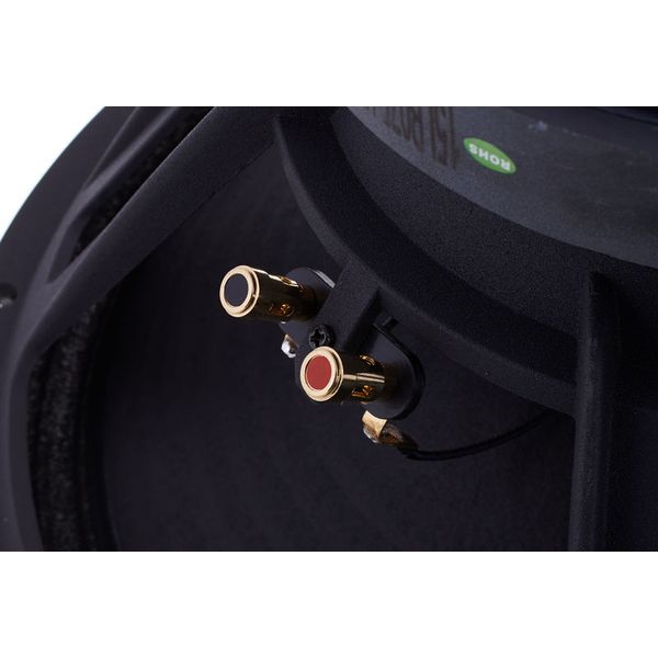 the box Speaker 15-300/8-A