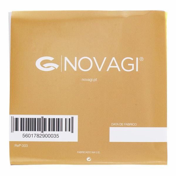 Dragao Guitarra Portuguesa Lisboa