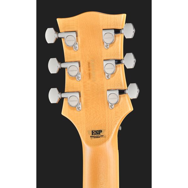 ESP RZK-II Richard Z Kruspe Burnt