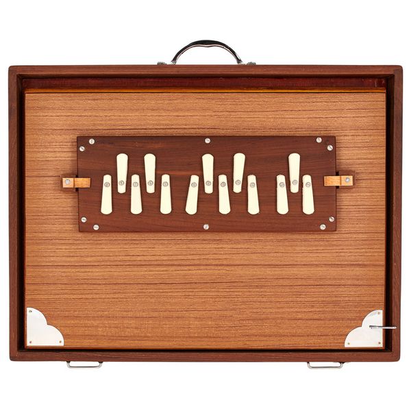 Thomann Nataraj Prof. Shruti Box G-G