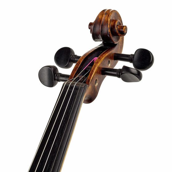 Stentor SR1864 Verona Violin 4/4