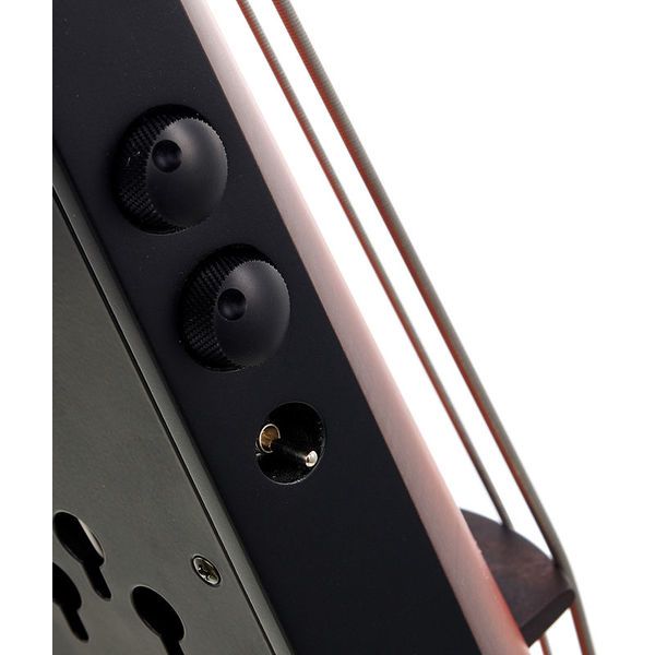 NS Design NXT5a-DB-SB Double Bass