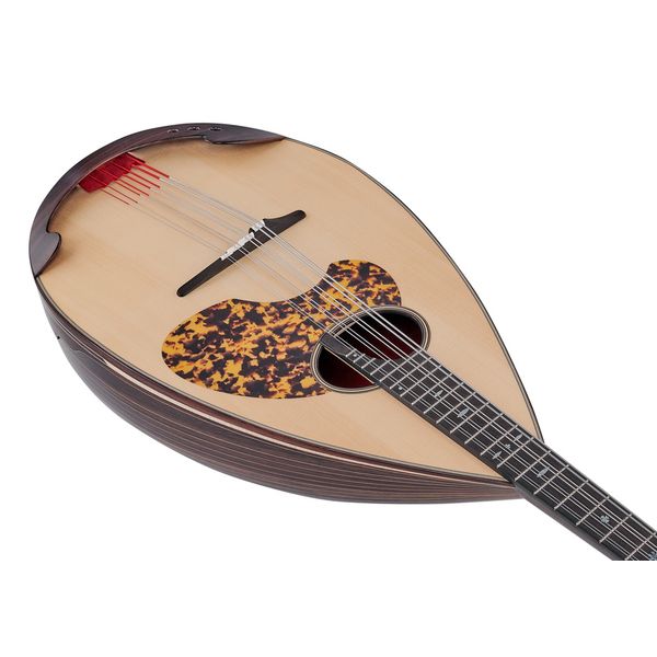 Atsushi Miyano Mandoloncello MC-3 RR