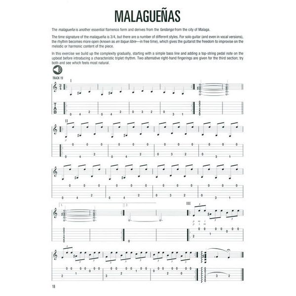 Hal Leonard Flamenco Guitar