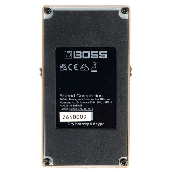 Boss DS-1w Distortion