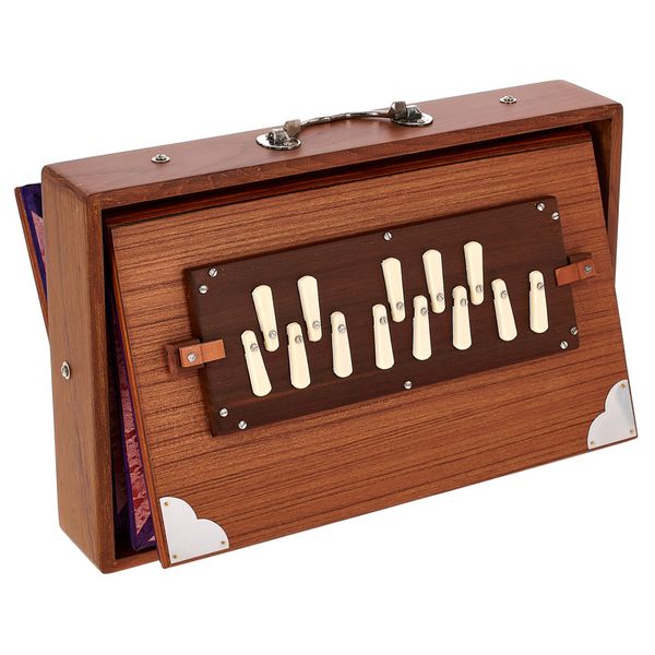 Thomann Nataraj Prof. Shruti C-C Med.