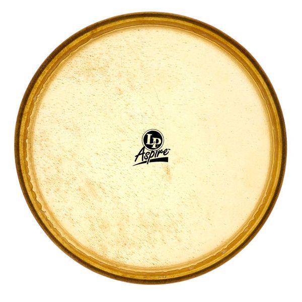 LP A640C 12" Conga Head Aspire