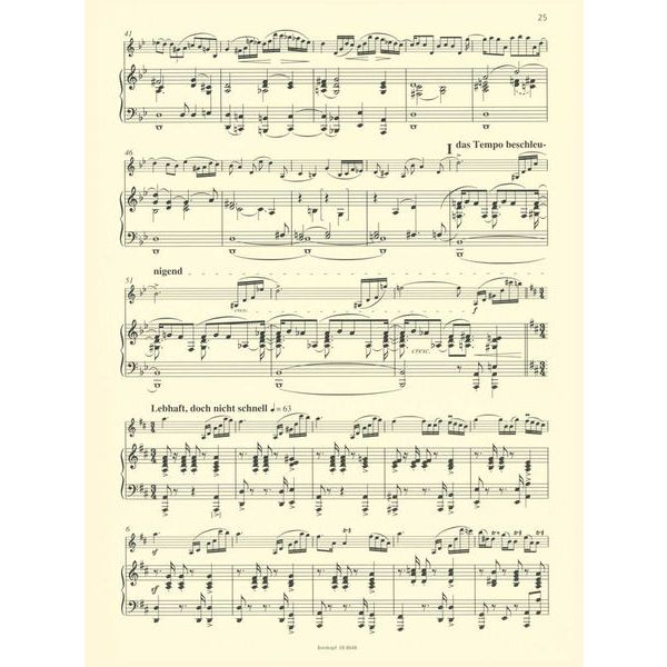 Breitkopf & Hrtel Schumann Violinkonzert d-moll