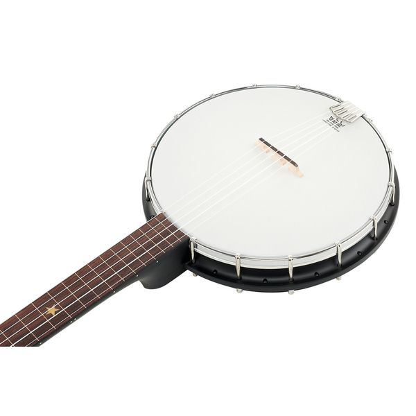 Gold Tone AC-1FL Open Back Fretless