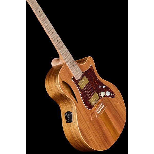 Cole Clark AN2EC-BLBL-HH