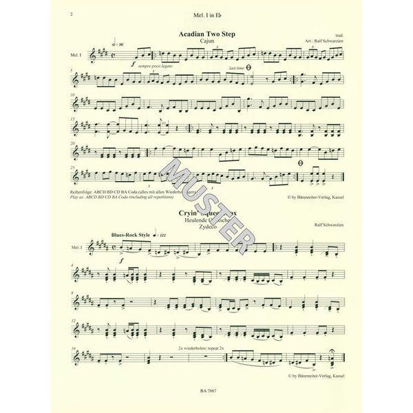 Brenreiter Combocom Zydeco - Cajun