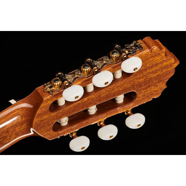 Alhambra 5P CT E2 incl.Gig Bag