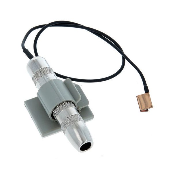 Fishman C-100-Pickup