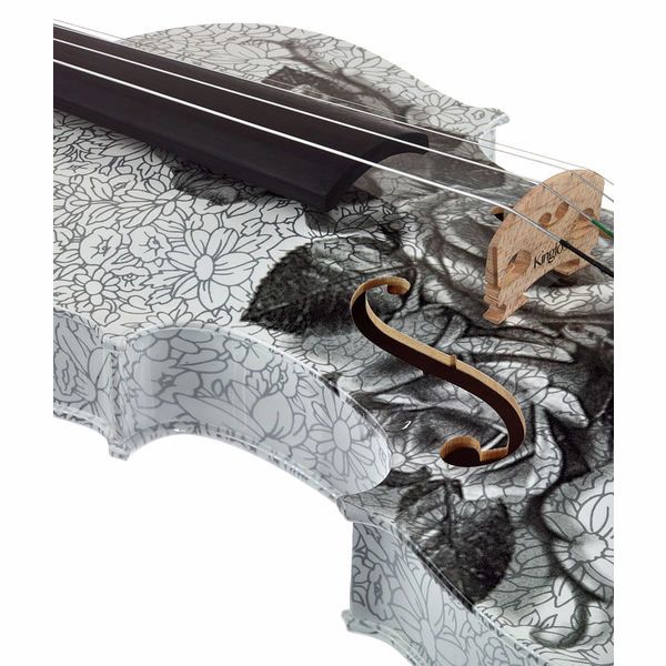 Thomann Black Rose Violin Set 4/4