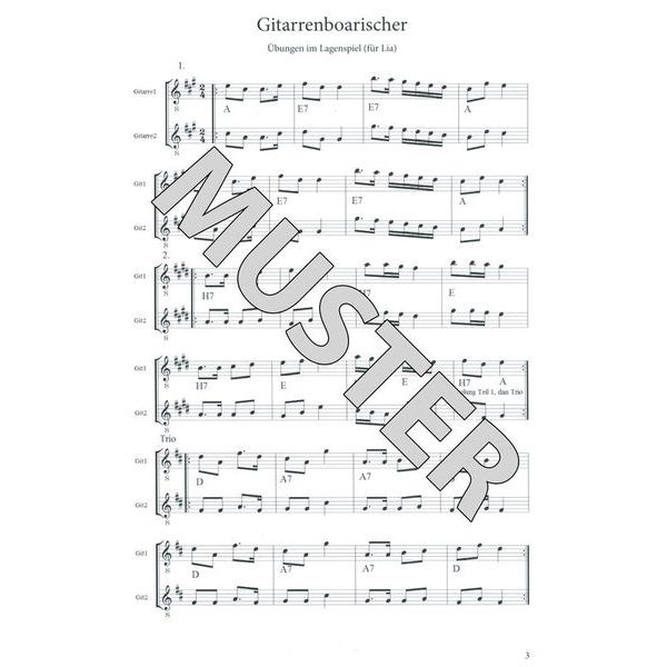 Thomann Fein Aufg'spielt Gitarre