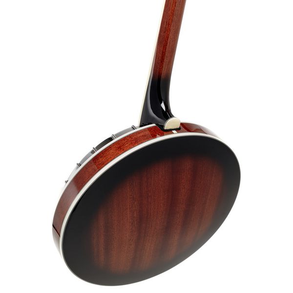 Gold Tone TS-250 Tenor Banjo w/Case