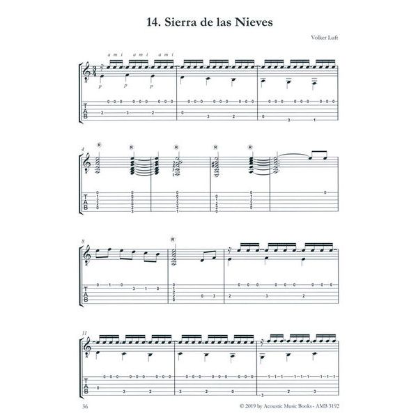 Acoustic Music Books Flamenco Esencial