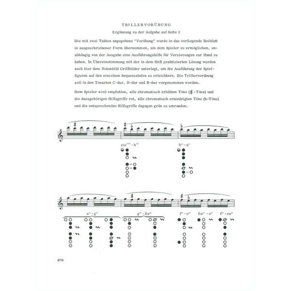 Heinrichshofen Verlag Etüden for Altflöte