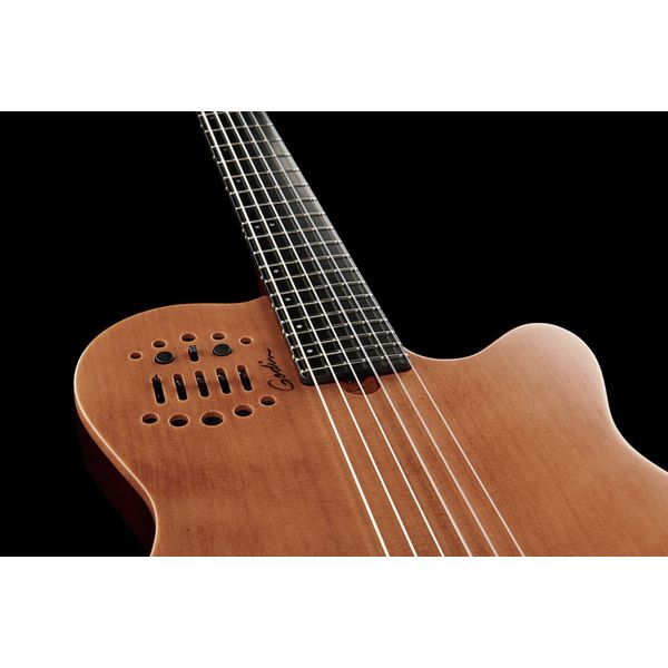 Godin ACS Nylon