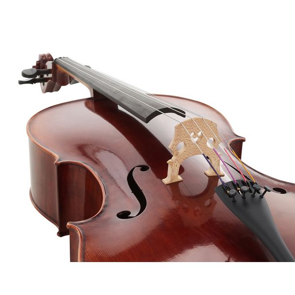 Gewa Maestro 31 Antique Cello 4/4