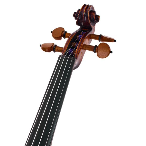 Roth & Junius Europe Orchestra Violin St/Bw