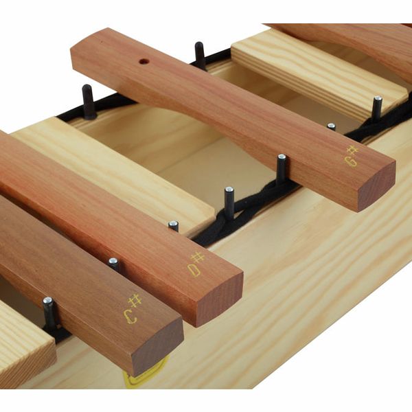 Studio 49 H-SX 1600 Chromatic Extension