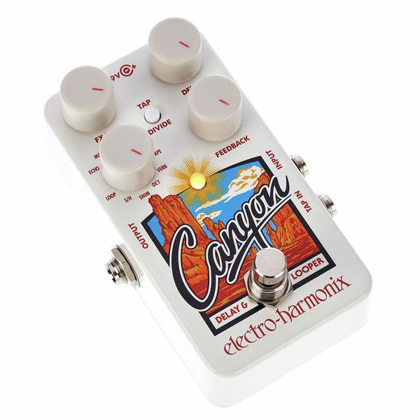 Electro Harmonix Canyon Delay & Looper