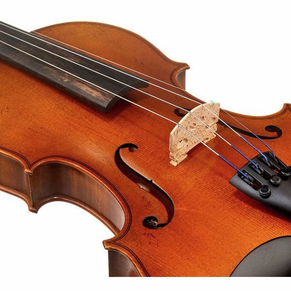 Karl Höfner Allegro 4/4 Violin Outfit