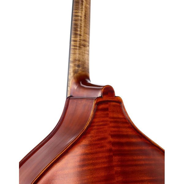 Scala Vilagio Double Bass Busseto IB