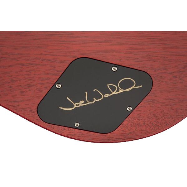 PRS McCarty 594 Joe Walsh LTD