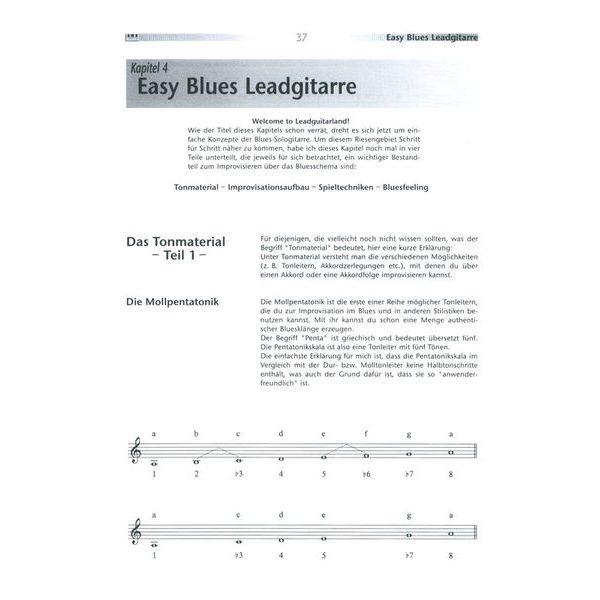 AMA Verlag Blues Guitar Rules