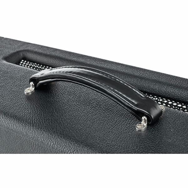 Friedman BE-100 Deluxe Head