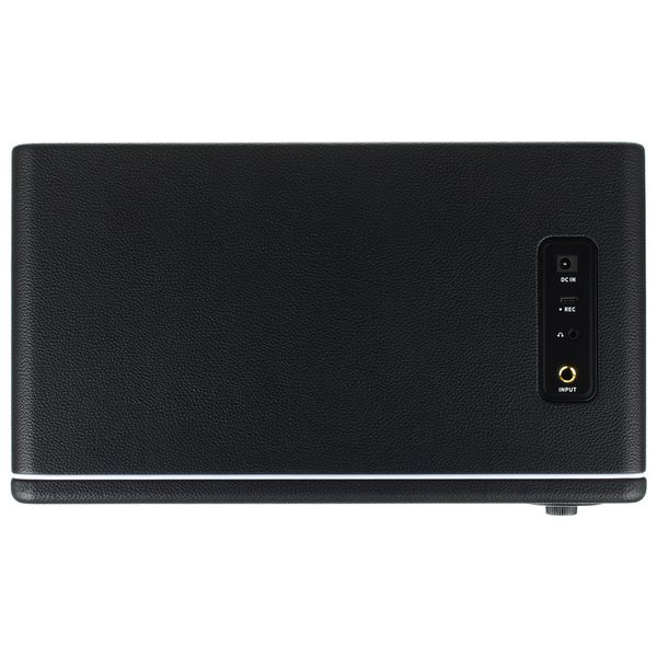 Mooer Hornet 30i Modeling Amp Black