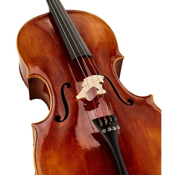 Bernd Hiller & Sohn Master Cello Montagnana 4/4