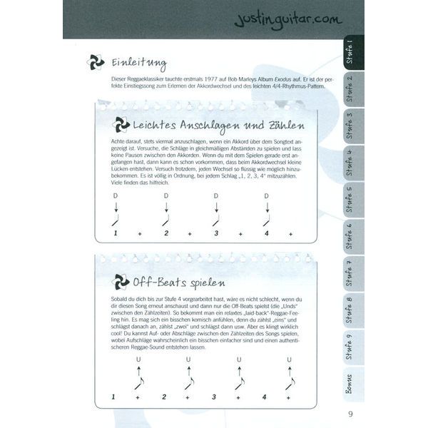 Bosworth Justinguitar.com Songs 1 D