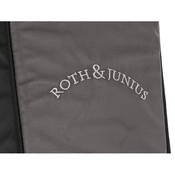 Roth & Junius BSB-05 Bass Soft Bag 4/4 GY