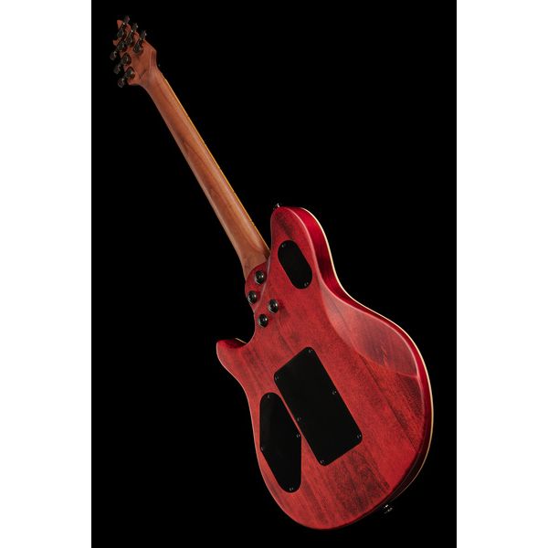 Evh Wolfgang WG Std Exotic BW