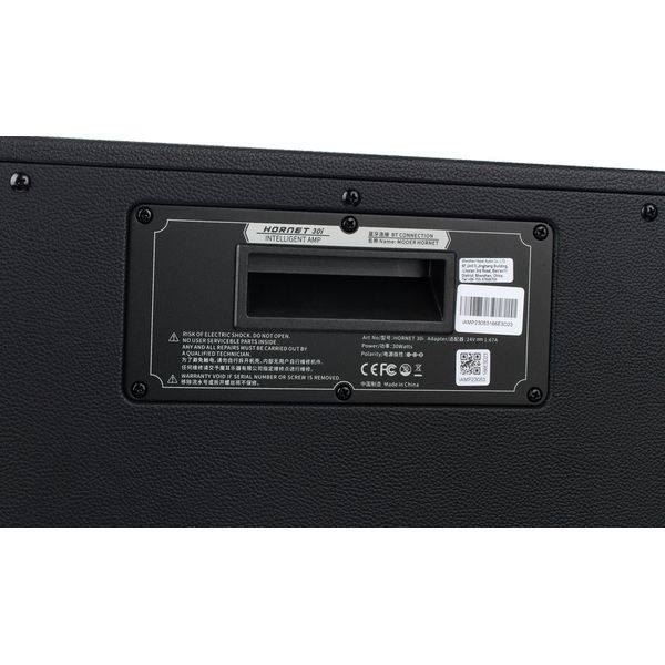 Mooer Hornet 30i Modeling Amp Black
