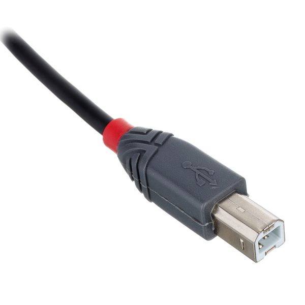 Lindy 3m USB 2.0 Typ C/B Anthra