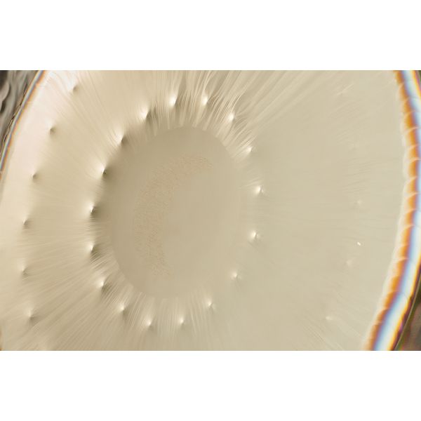 RealGong 32"/81cm Planet Gong Syn Moon