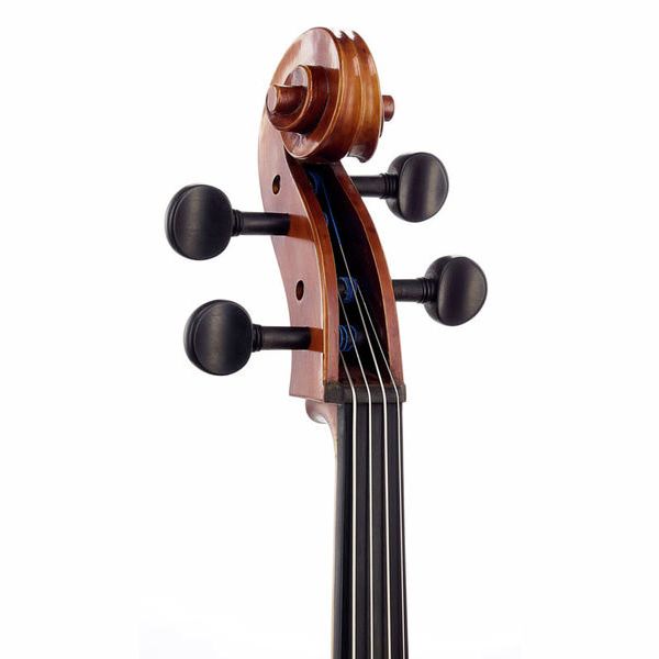Gewa Maestro 6 Cello 7/8