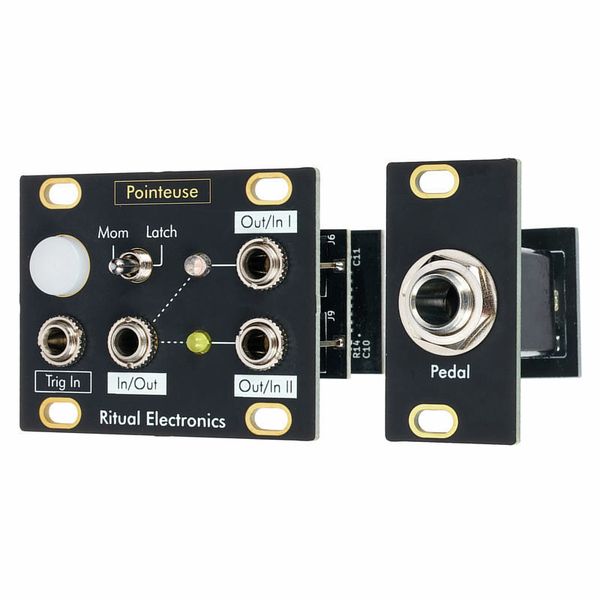 Ritual Electronics Pointeuse
