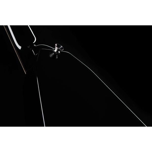 Harley Benton Victory-BK Classic Series