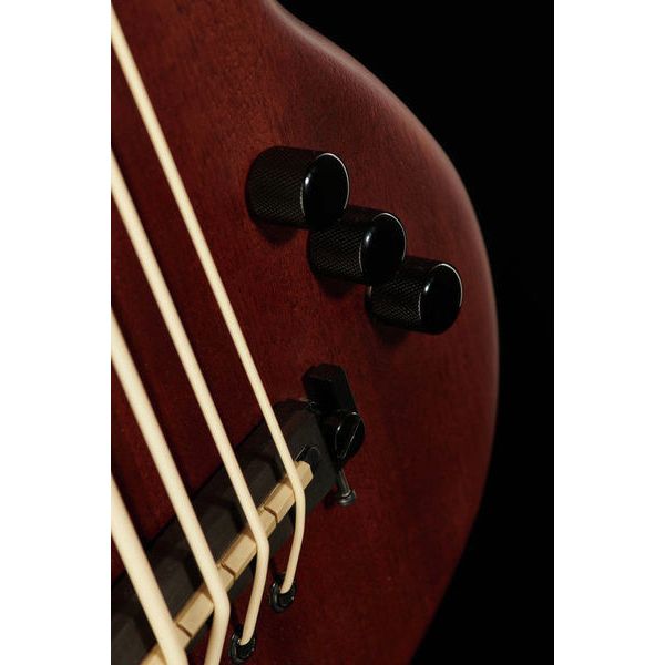 Gold Tone ME-BASS/Fretless