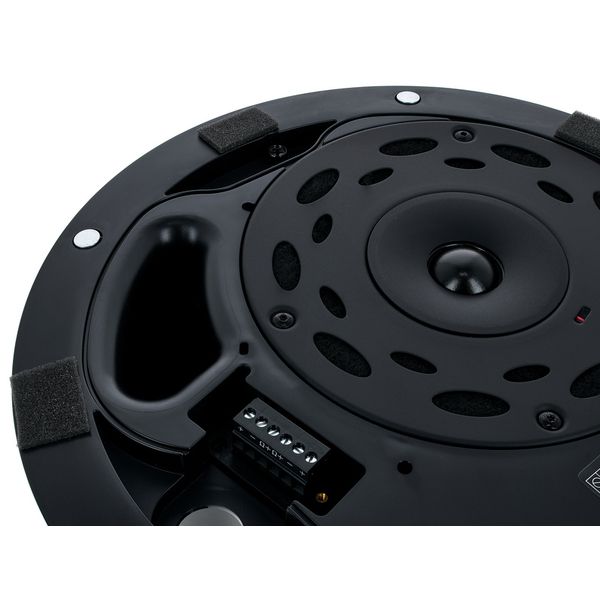 Bose Professional DesignMax DM5C black