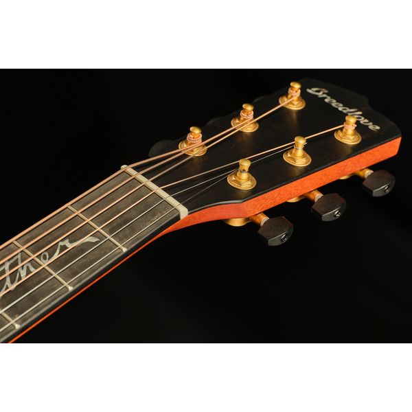 Breedlove Jeff Bridges Signature