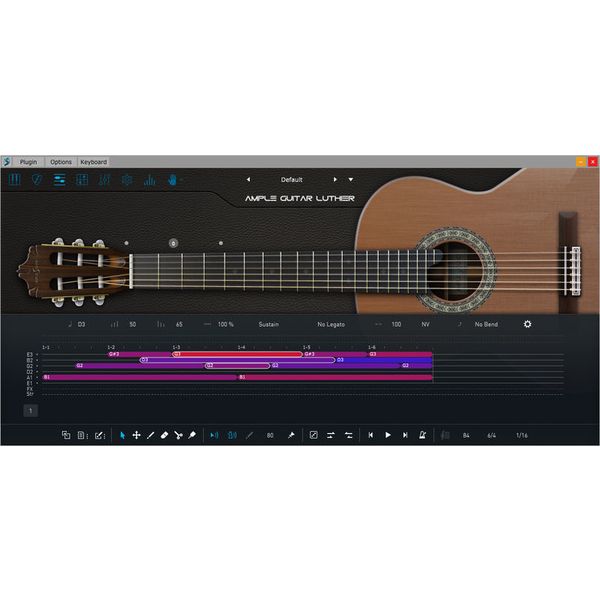 Ample Sound Ample Guitar L