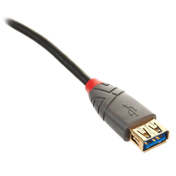 Lindy USB 3.1 Typ C Adapterkabel