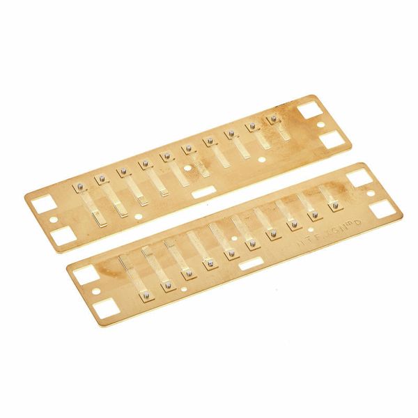 Lee Oskar Natural Minor Reedplates D